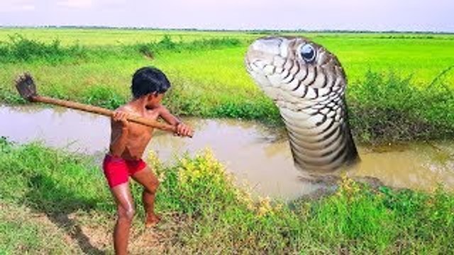 Amazing Fishing Catch Very Big Snake, Eel and Fish by Smart Boy