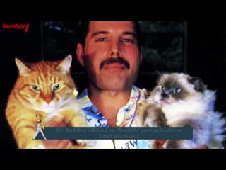 FREDDIE MERCURY - ÖZEL BELGESEL