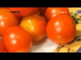 NET5 - Serba Serbi Tomat Cherry