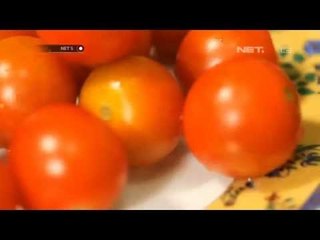 NET5 - Serba Serbi Tomat Cherry