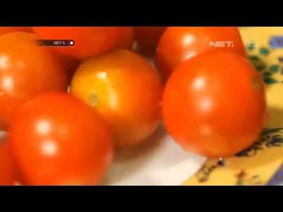 NET5 - Serba Serbi Tomat Cherry