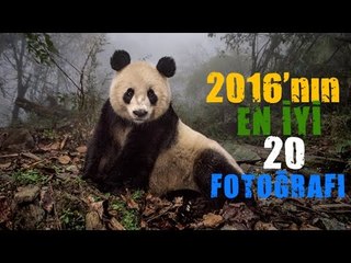 YILIN EN İYİ 20 FOTOĞRAFI / NATIONAL GEOGRAPHIC