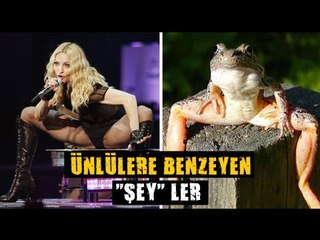 ÜNLÜLERE BENZEYEN "ŞEY" LER