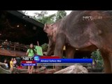 NET12-Taman Safari Indonesia Dipadati Pengunjung pada Libur Paskah