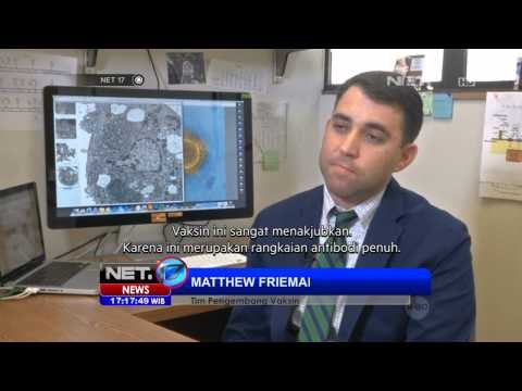 NET17 - Jumlah Korban Tewas Akibat MERS di Arab Saudi Terus Meningkat