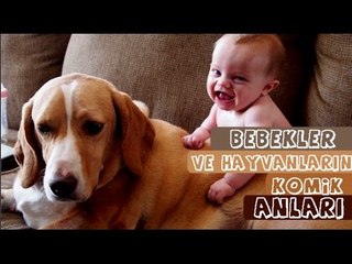 BEBEKLER ve HAYVANLARIN ÇOK KOMİK ANLARI