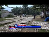 NET12 - Ragam Nusantara - Kampung Pengeringan Ikan di Madura