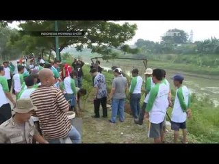 IMS - Ratusan Pohon Akasia di Kanal Banjir Timur oleh Puluhan Buruh