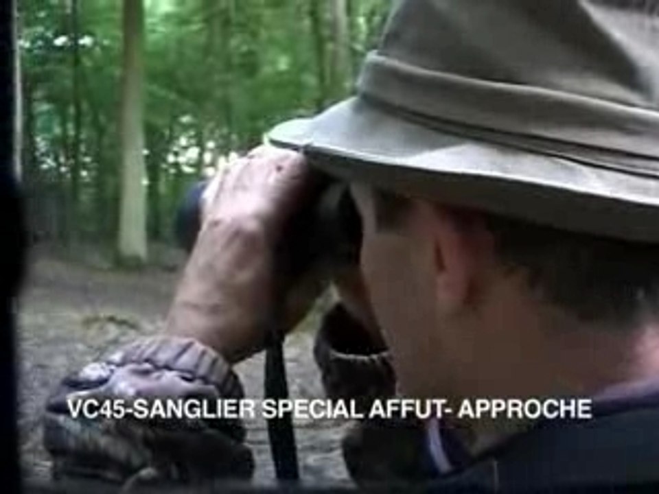 LES CHASSES DU SANGLIER SPECIAL AFFUT - APPROCHE