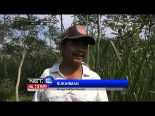 NET12 - Aktivitas gunung merapi kembali normal