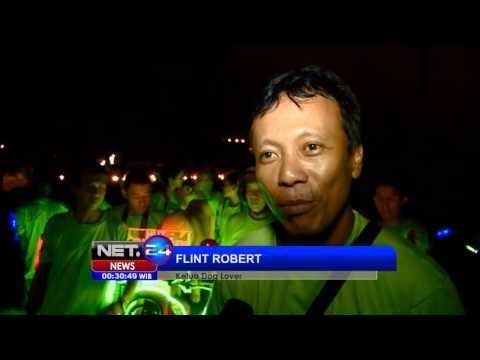 NET24 Pawai Anjing dalam Rangka HUT Kota Surabaya