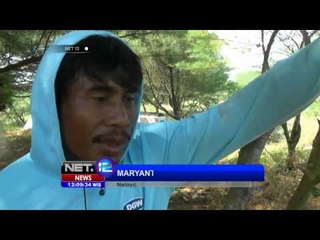 NET12 - Gelombang Besar Nelayan tidak Melaut di Yogyakarta