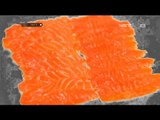 Serba Serbi Ikan Salmon - NET5