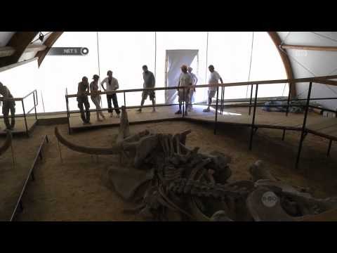 NET5 - Pemindahan kerangka Mammoth di Serbia