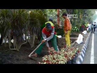 NET JATIM - Walikota Surabaya pimpin perbaikan tamab bungkul