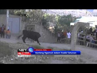 NET12 - Festival Adu Banteng