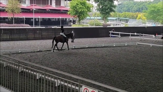 Quand tout les élèves se font jeter au sol par leurs chevaux en plein court d'équitation