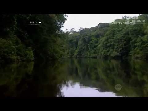 NET12-Daya Tarik Memancing