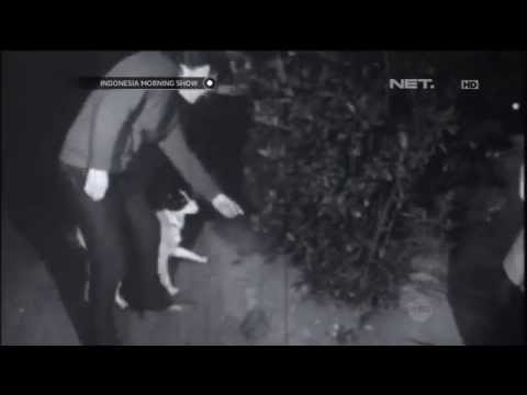 Sejarah trofi Piala Dunia - IMS