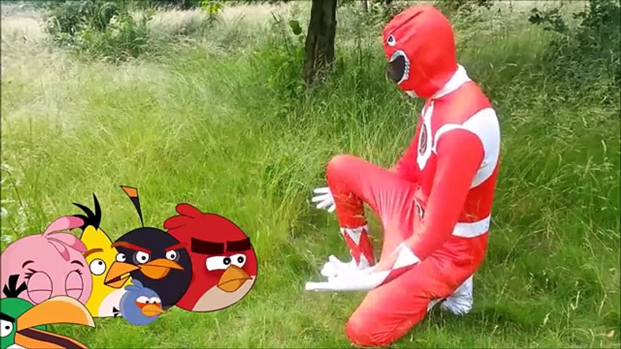 Real Life Power Rangers and Angry Birds Vs Zombies- bowser12345