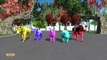 Farm Animals Finger Family 3d Animation - Domestic Animals Finger family Rhymes Nursery for Kids