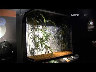 Pameran laba laba - NET24