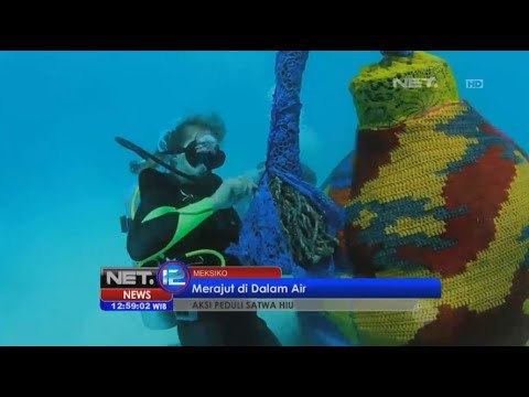 Aksi peduli satwa dengan merajut dalam air - NET12