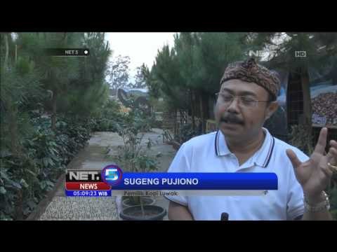 Kedai Kopi Luwak di Lembang -NET5