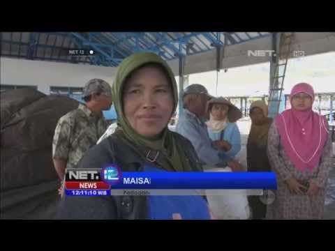 Harga ikan di Jember naik akibat cuaca buruk - NET12