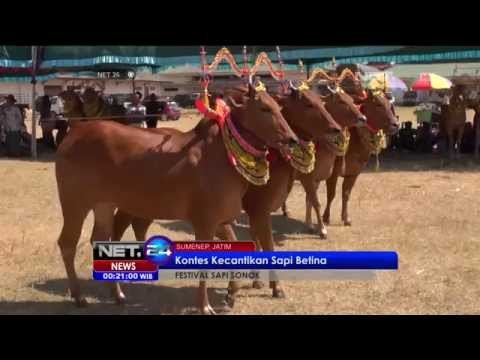 Kontes Kecantikan untuk Sapi Betina di Sumenep -NET24