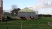 Adorable Ponies Can’t Stop Going Round In Circles / Pony Merry Go Round
