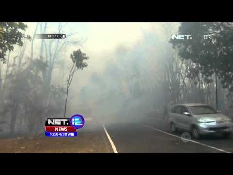 Kebakaran kawasan konservasi Taman Nasional Baluran Situbondo - NET12