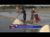 Memasuki Musim Kemarau Petambak Ikan di Tuban Beralih Profesi Jadi Petambak Garam -NET12
