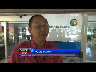 Download Video: 19 ular viper diamankan pihak Bandara Soekarno-Hatta - NET24