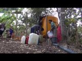 Air Kubangan untuk Penuhi Kebutuhan Harian Sebagian Warga Jombang dan Ponorogo -NET17