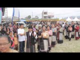 Tradisi Menyembelih Kerbau di Festival Danau Toba 2014 -NET17