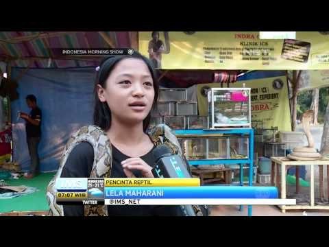 Eco Festival 2014 di Jakarta - IMS