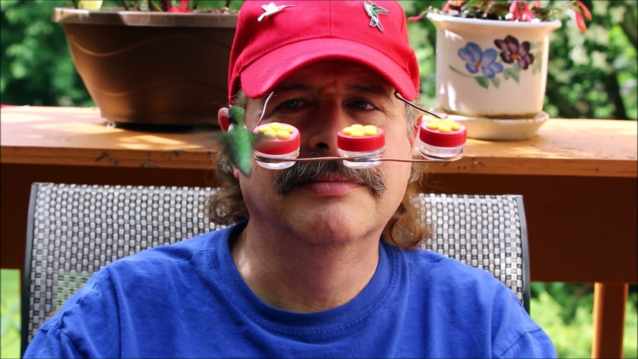 Hummingbird Hat For Bird Lovers Video Dailymotion