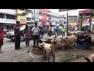 Pemkot Medan Menghindari Kurban Beresiko Antraks - NET12