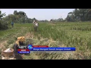 Petani di Kampung Cibogo manfaatkan air limbah untuk mengairi sawah - NET24