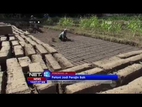 Dampak musim kemarau, petani alih profesi membuat bata merah - NET12