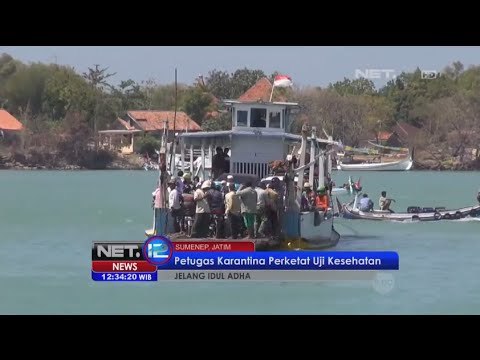 Perketat uji kesehatan hewan kurban di Pelabuhan Kalianget jelang Idul Adha - NET12
