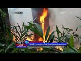 Kebakaran Melanda Hutan Gunung Walat Sukabumi -NET24