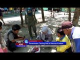 Waspada cacing hati pada hewan kurban - NET12