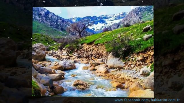 Xecê Yeni Şarkı Avî / Kürtçe Klip HD