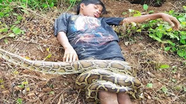Wow! Smart Little Boy Catch Many Big Snakes Using Fishing Net Trap (Part 2)