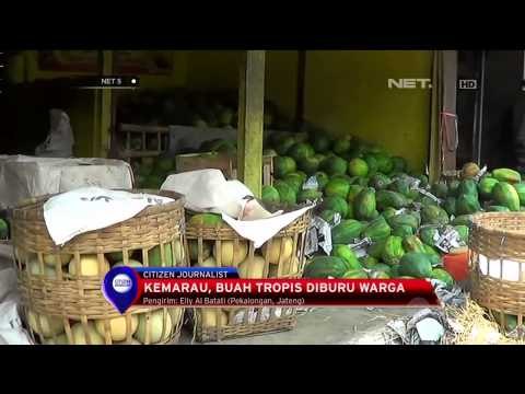 Musim Kemarau, Buah Tropis Diburu Warga - NET5