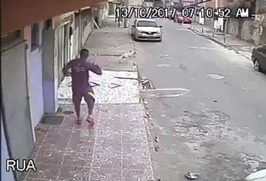 Un chien fait ses besoins sur un jeune homme assis par terre !