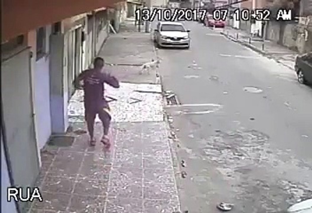 Un chien fait ses besoins sur un jeune homme assis par terre !