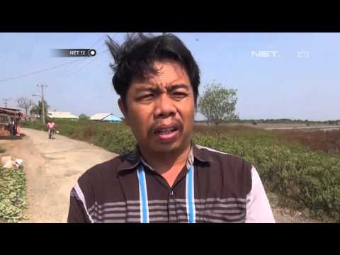 Jalan Utama Muara Gembong Bekasi Rusak Selama Puluhan Tahun -NET12